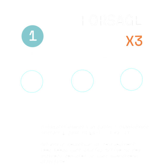 Forsage X3 Explain